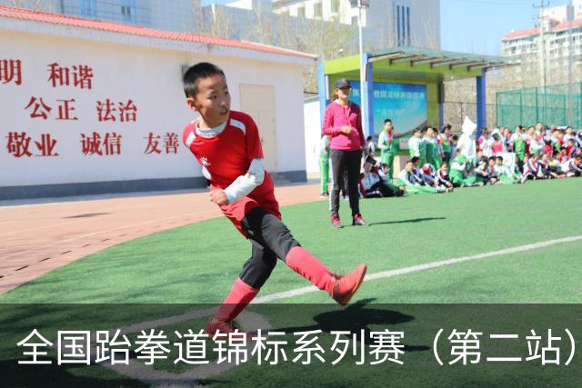 全国跆拳道锦标系列赛（第二站）第三日 冀晋浙苏各得一金