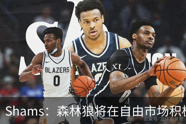 Shams：森林狼将在自由市场积极补强4号位 但他们只能提供底薪